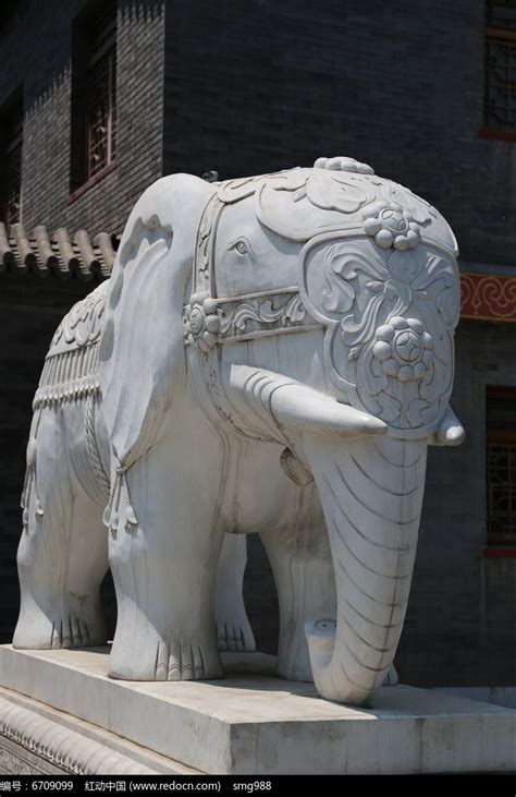 大象雕像 廁所墊高原因